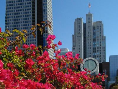 The View from Yerba Buena