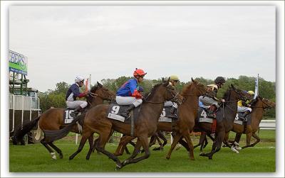 u26/gawi/medium/43516262.IMGP6733_pb.jpg