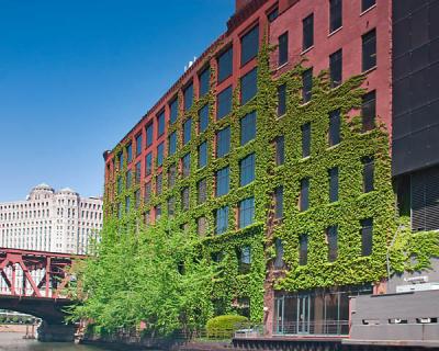 along the Chicago River