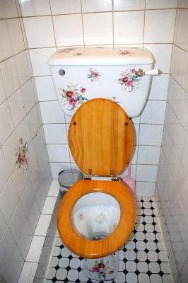 Nice Toilets