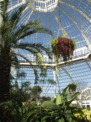 Sefton Park Palm House