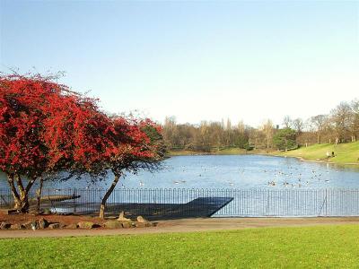 Sefton Park lake