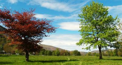 Spring colours