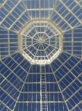 Sefton Park Palm House (detail)