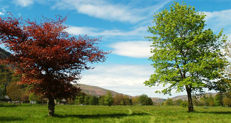 Spring colours