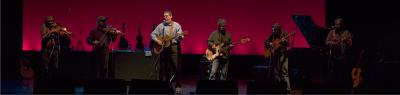 David Bromberg and Friends