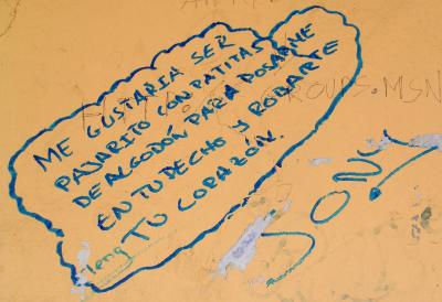 Pintada en Plaza Mayor de Riaza - Segovia