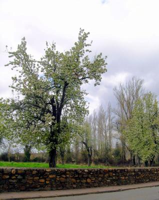 Riaza - Segovia
