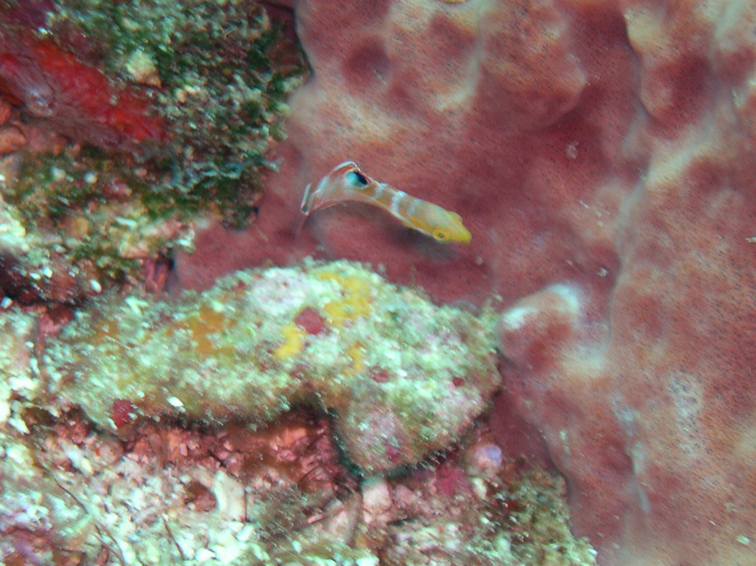 M020006.JPG