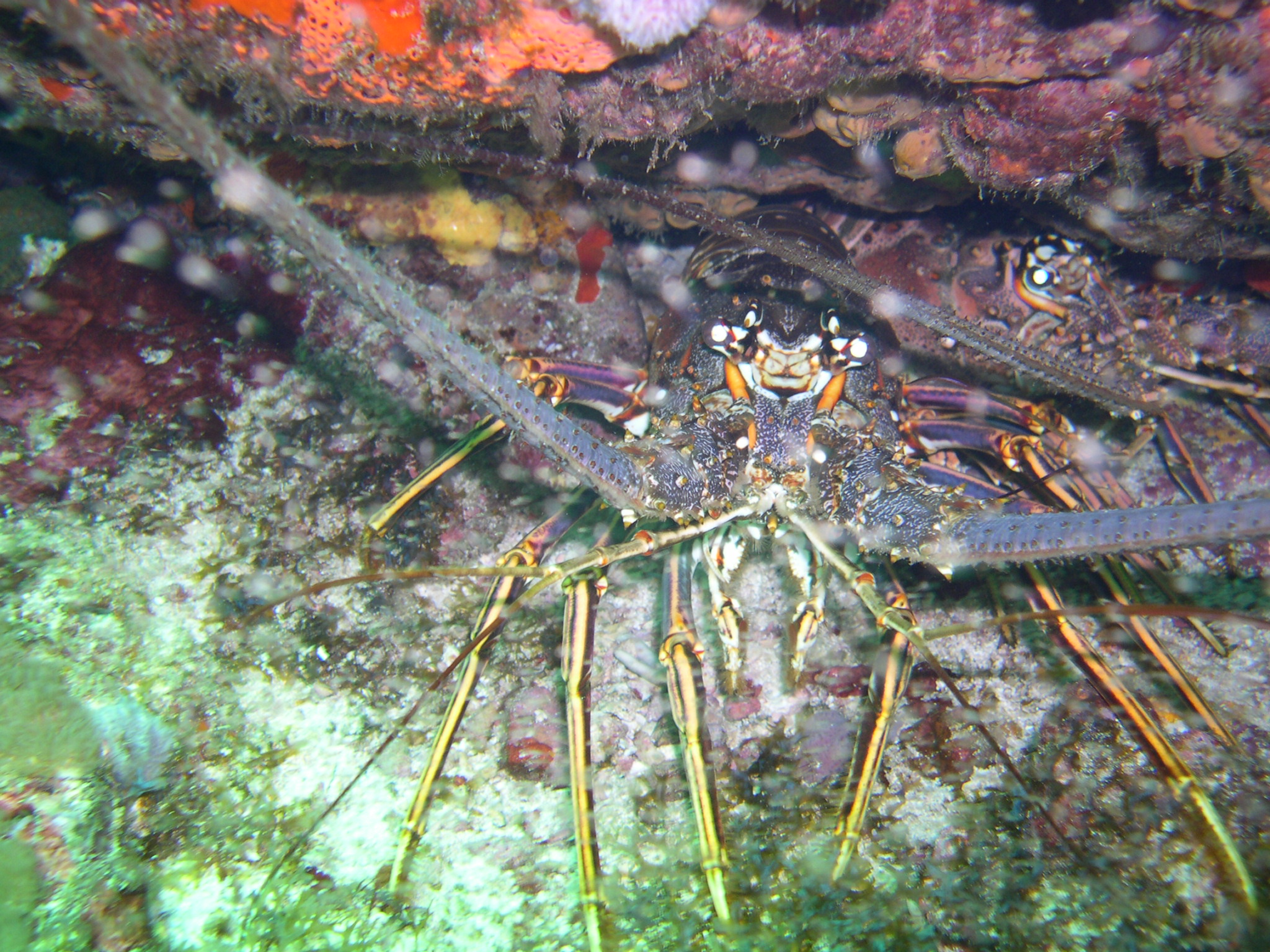 M040149.JPG