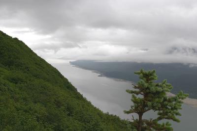 Bay near Juneau from Mt. Roberts