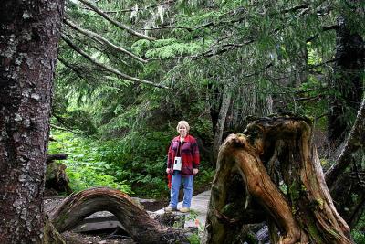 On Mt. Roberts near Juneau