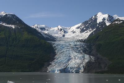 College Fjord