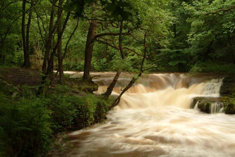 The Nedd Fechan. Summer Flood