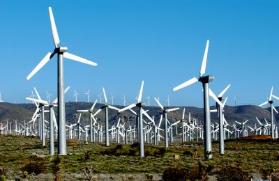 WIND-075.jpg