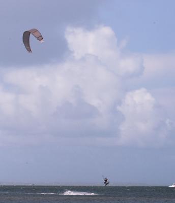 u26/gil_hidalgo/medium/43817928.SurfKite38.jpg