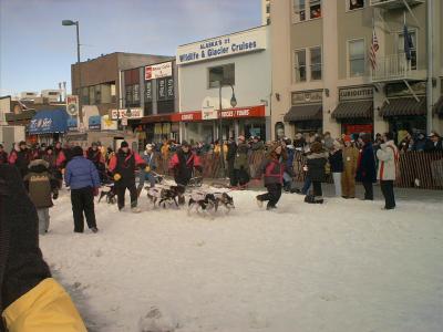Iditarod 2004