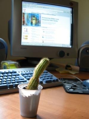 Cactus&PC