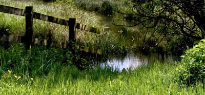 Wooden Fence 