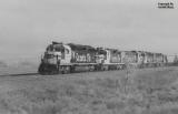 sf3700_in_texas.jpg