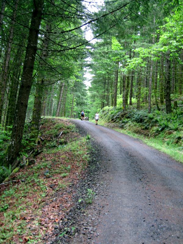 Looking up the road