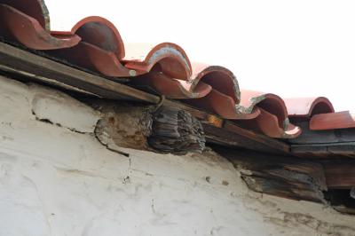 St. Francis 09 - Roof Rafters .JPG