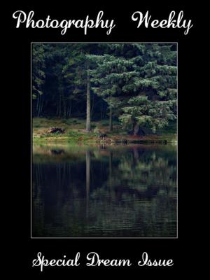 27 Dream: Special Dream Issue