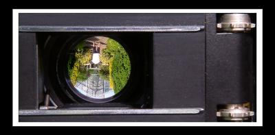 25 Upside Down: Optical Illusion.