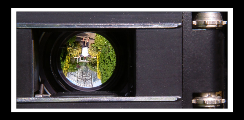 25 Upside Down: Optical Illusion.