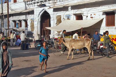 Nagaur Town
