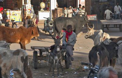 Nagaur Town