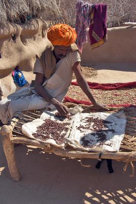 Sorting Seeds