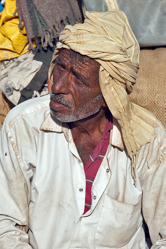 Camel Saddle Vendor
