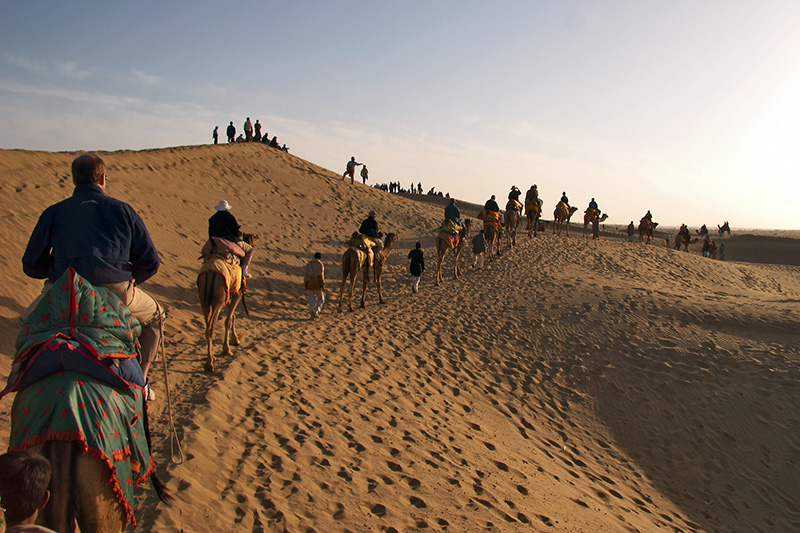 Our Camel Train
