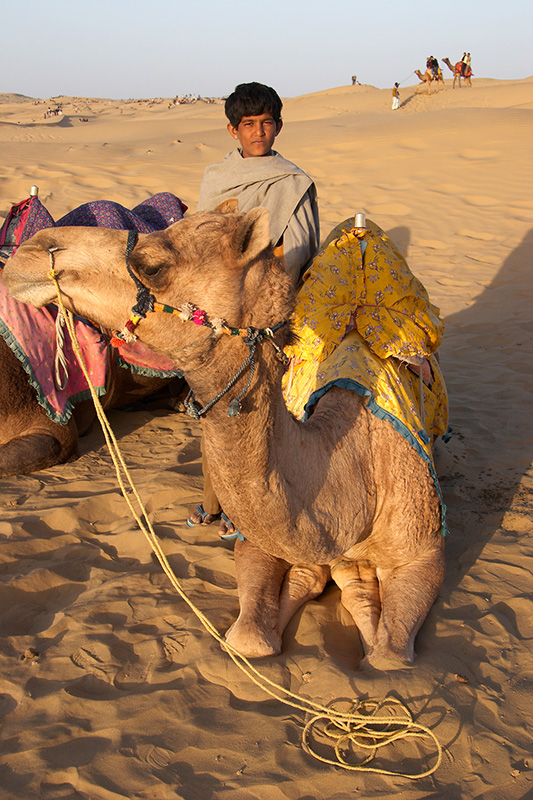 <i>Lalu</i>, Debbys Camel