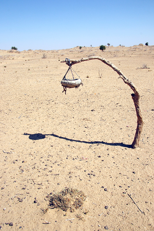 Desert Birdbath