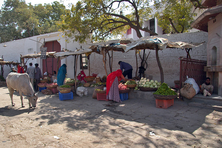 Saderi Village