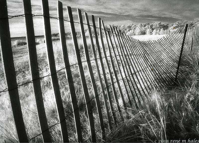 : beach fences :