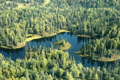 Typical Lake