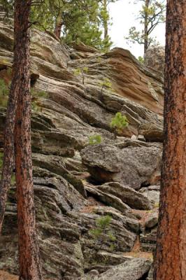 Typical Mount Rushmore Topography