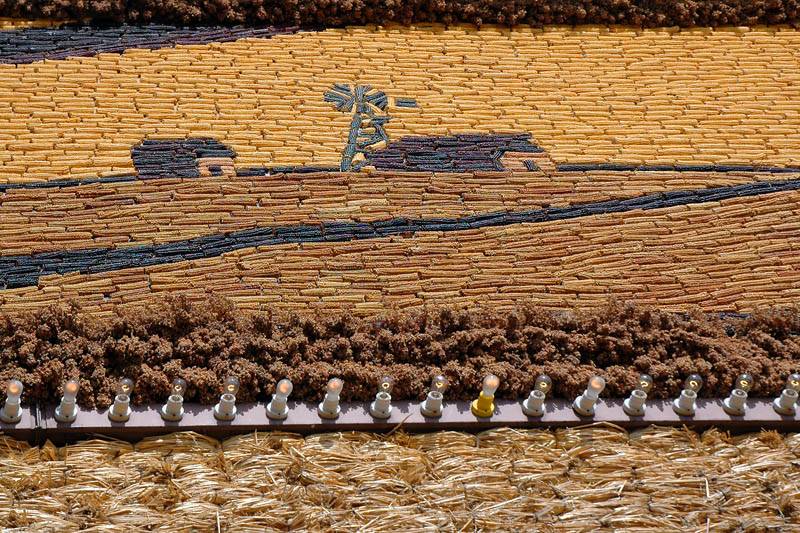 Corn Palace 5