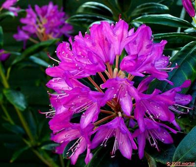 100_3824rd006.jpg