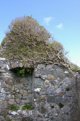 Old church graveyard