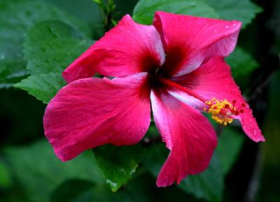 IMG_5067 bb.jpg