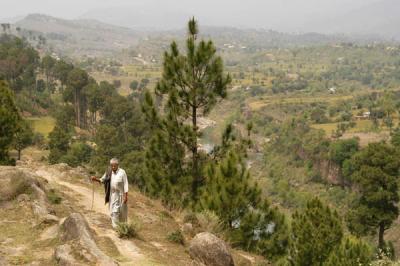 Panjera in Sarsawa valley