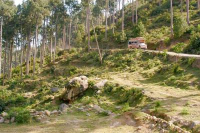 Bus near Dungi