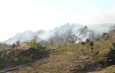 Forest fire near Throtchi