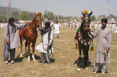 Showing off the horses at Vasakhi