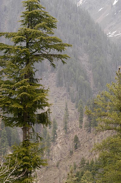 Neelum Valley