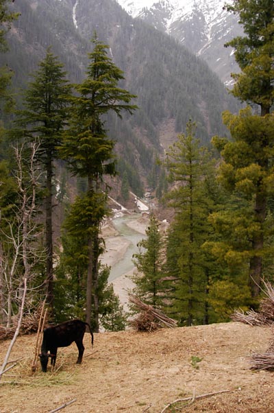 Neelum Valley